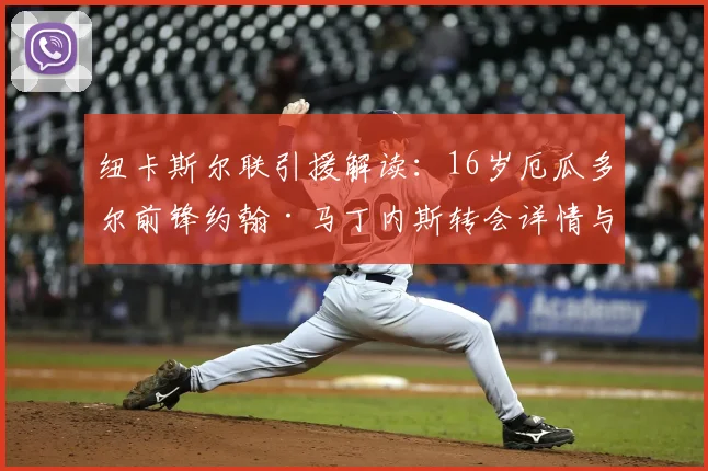 纽卡斯尔联引援解读：16岁厄瓜多尔前锋约翰·马丁内斯转会详情与未来展望